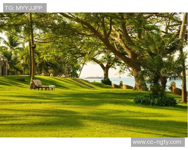 西蒙斯转型创业成功收购南佛罗里达帆船垂钓俱乐部引关注